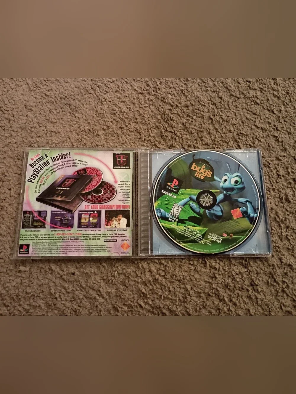 N/A bugs life